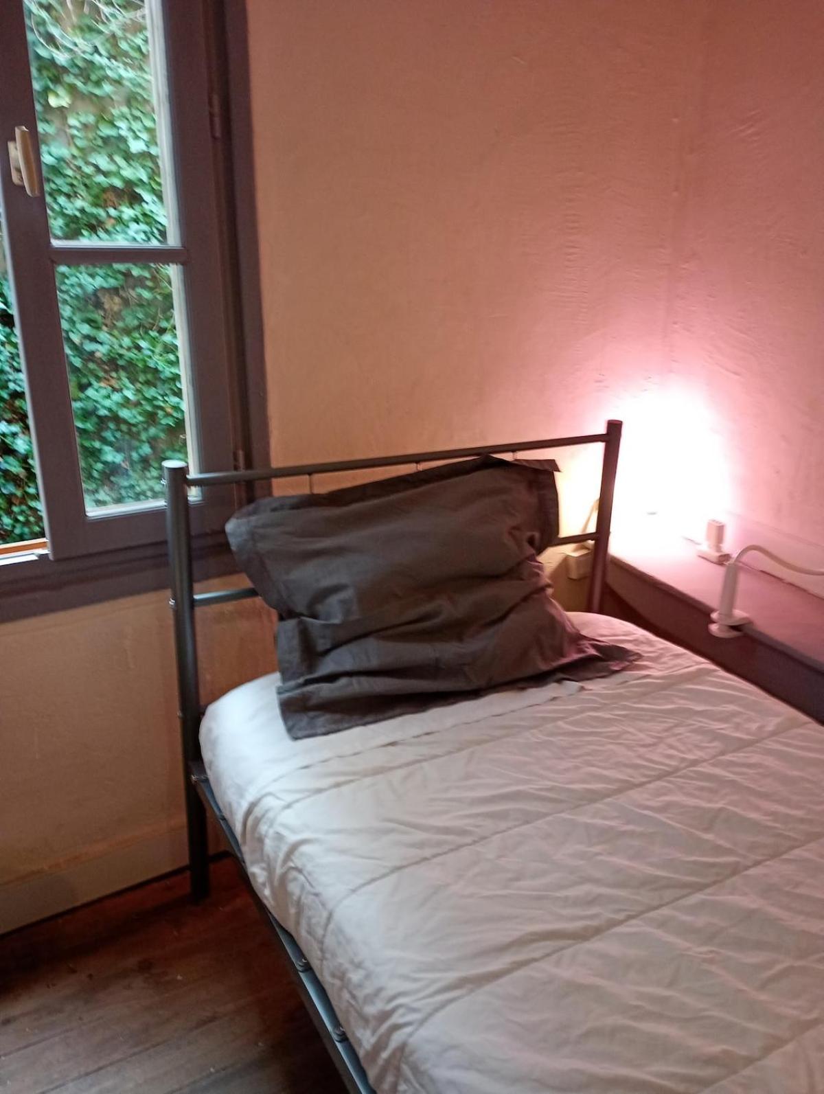 Duplex Center Thiers - Clermont-Ferrand - Lyon - Free Parking - Self-Check-In Exterior foto